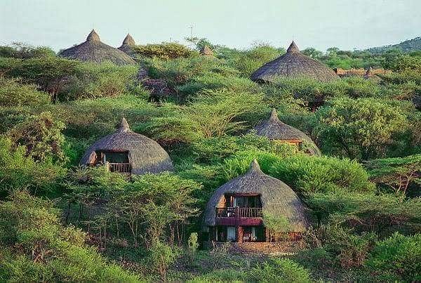 serengeti-serena-lodge